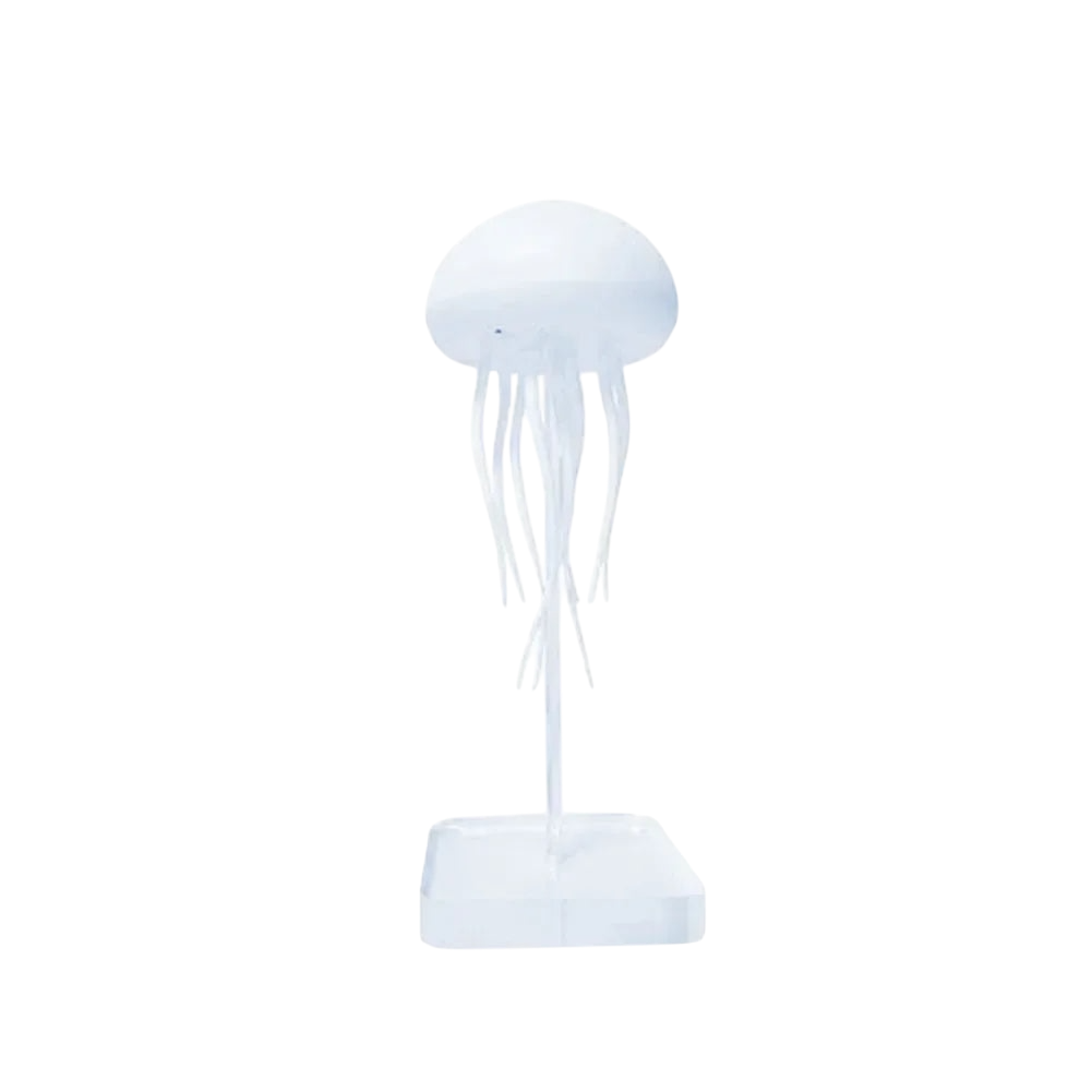 Jellyfish Night Lamp