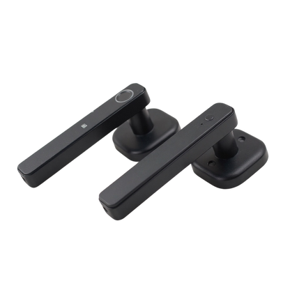 Fingerprint Door Handle