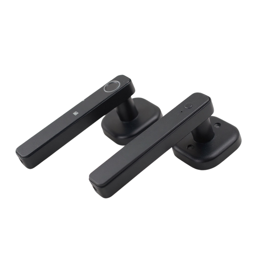 Fingerprint Door Handle