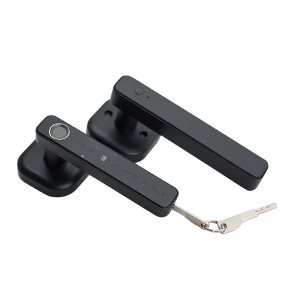 Fingerprint Door Handle